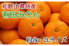  [秀品]和歌山有田みかん約4kg(2Lサイズ) ※2025年11月上旬～2026年1月下旬頃順次発送（お届け日指定不可） / 果物 くだもの フルーツ 蜜柑 みかん 【tec915A】