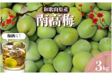 【和歌山名産】南高梅  約3kg（サイズ混合）　※2025年6月上旬～2025年6月下旬頃に順次発送 / 南高梅 青梅 生梅 完熟 梅干し 和歌山県 紀州 梅酒 梅ジュース 梅シロップ 【tec939A】