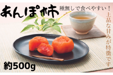  紀州かつらぎ山のあんぽ柿　化粧箱入　約500g　※2026年1月中旬頃～順次発送予定（お届け日指定不可） / 柿 果物 フルーツ くだもの 先行予約 【uot736】