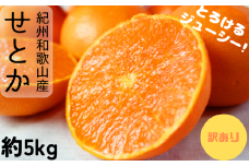  【ご家庭用訳あり】紀州和歌山産 せとか 約5kg 先行予約 みかん ※2026年2月上旬頃〜2026年3月中旬頃発送予定（お届け日指定不可） / みかん 蜜柑 フルーツ 果物 くだもの 【uot748A】