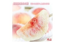 秀品　紀州和歌山産の桃　3玉　化粧箱入　※2025年6月下旬～2025年8月上旬頃順次発送（お届け日指定不可）/ もも モモ 桃 ギフト 贈り物 プレゼント 夏ギフト 果物 フルーツ 人気 産地直送 和歌山県 お取り寄せ 【uot750】