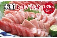  本マグロ （養殖）トロ＆赤身セット 1350g【 １ヶ月以内に順次発送】 / 本マグロ 冷凍 まぐろ マグロ 鮪 中トロ 赤身【nks111B】