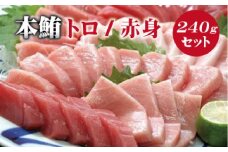 本マグロ（養殖）トロ＆赤身セット 240g 【 １ヶ月以内に順次発送】/ 本マグロ 冷凍 まぐろ マグロ 鮪 中トロ 赤身 【nks113B】