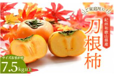 【☆令和7年産☆先行予約】たねなし柿 刀根柿【ご家庭用サイズおまかせ】(約7.5kg以上)【2025年9月下旬～10月上旬に順次発送致します。】/ 和歌山県 紀美野町  種なし カキ 柿 かき 刀根 甘い 美味しい【frt002A】