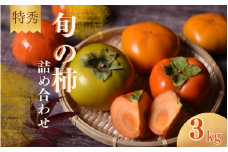 【☆令和7年産☆先行予約】【特秀】 紀美野町産 旬の柿詰め合わせ 約3kg 【2025年10月上旬～11月下旬に順次発送致します。】/ 和歌山県 紀美野町 カキ 柿 太秋柿 紀ノ川柿 富有柿 早秋柿 秀品【frt004A】