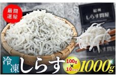 冷凍釜揚げしらす1kg（100g×10パック） / シラス 厳選 小分け 冷蔵便 大容量 お米のおとも【dig003】