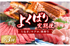  【ふるさと納税】【3か月定期便】よくばりな定期便！うなぎ･高級和牛･マグロ　人気返礼品を3回お届け♪ / 本まぐろ まぐろ うなぎ 鰻 肉 牛肉 和牛 人気 冷凍 定期便 ３回【tkb104】