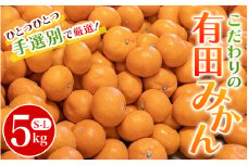 こだわりの和歌山県産 有田みかん ５kg（S～Lサイズおまかせ） ひとつひとつ手選別で厳選！生産者から直送 【2025年11月下旬～翌年1月中旬頃に順次発送分】/ みかん フルーツ 果物 くだもの 有田みかん 蜜柑 柑橘 【hdm005】