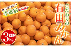 こだわりの和歌山県産 有田みかん ３kg（S～Lサイズおまかせ） ひとつひとつ手選別で厳選！生産者から直送 【2025年11月下旬～翌年1月中旬頃に順次発送分】/ みかん フルーツ 果物 くだもの 有田みかん 蜜柑 柑橘 【hdm004A】