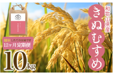 【12ヶ月定期便】和歌山県産の お米 きぬむすめ 10kg×12ヶ月連続でお届け 計120kg ／ 米 こめ ご飯 ごはん 白米 国産 和歌山県産 定期便 12か月 12ヶ月 1年 12回 全12回【tkb602】