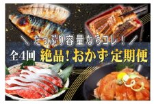  【ふるさと納税】【全4回】家族みんなで楽しめる＼たっぷり容量ならコレ／絶品おかず定期便（さば・鰻・サケ・海鮮丼）/さば 鰻 サケ 海鮮丼 【tkb305】