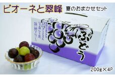 【数量限定】ピオーネと翠峰の夏のおまかせセット約200g×4パック ※2025年8月下旬～2025年9月上旬頃順次発送 / 果物 くだもの フルーツ ぶどう 旬 【tec514A】