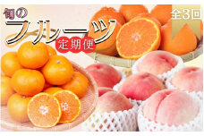 【全3回定期便】旬のフルーツ定期便 【田村みかん /  紀州デコ(不知火) /  桃】 ～和歌山の旬をお届けします～ / みかん ミカン 温州みかん 有田みかん 不知火 デコポン 桃 もも モモ 柑橘 フルーツ 果物 くだもの 旬 人気 甘い 定期便 3回 全3回 3か月【tkb313】