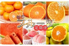 【全6回定期便】旬のフルーツ定期便 【田村みかん / 紀州デコ(不知火) / 清見オレンジ / 小玉スイカ / 桃 / ゆら早生みかん】 ～和歌山の旬をお届け～ / みかん ミカン 温州みかん 有田みかん 不知火 デコポン 桃 もも モモ 柑橘 フルーツ 果物 くだもの 旬 人気 甘い 定期便  6回 全6回 6か月【tkb314】
