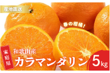 【先行予約】ご家庭用 カラマンダリン なつみ 春のみかん 和歌山 有田  S～2Lサイズ 大きさお任せ 5kg【2025年4月上旬～5月上旬までに順次発送予定】/ みかん フルーツ 果物 くだもの 蜜柑 柑橘【ktn020】