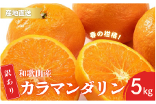 【先行予約】訳あり 有田 カラマンダリン なつみ 春のみかん 2S～3Lサイズ混合 5kg【2025年4月上旬～5月上旬までに順次発送予定】/ みかん フルーツ 果物 くだもの 蜜柑 柑橘【ktn021A】