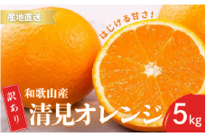【先行予約】訳あり きよみ 清美オレンジ 和歌山 有田 2S～3Lサイズ混合 5kg 【2月中旬～3月下旬頃に順次発送】/ みかん フルーツ 果物 くだもの 蜜柑 柑橘【ktn023A】