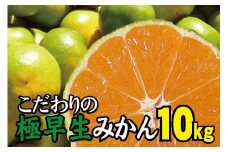 【2025年秋頃発送予約分】＼光センサー選別／ 【農家直送】こだわりの極早生みかん 約10kg 【数量限定】 有機質肥料100% サイズ混合 ※2025年9月下旬より順次発送予定（お届け日指定不可） 有田産 【nuk135C】