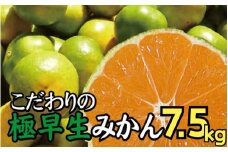 【2025年秋頃発送予約分】＼光センサー選別／ 【農家直送】こだわりの極早生みかん 約7.5kg 【数量限定】 有機質肥料100% サイズ混合 ※2025年9月下旬より順次発送予定（お届け日指定不可） 有田産【nuk136C】