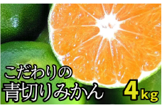 【先行予約】＼有機質肥料100%／ こだわりの青切りみかん 約4kg サイズ混合 【2025年9月下旬頃より順次発送】【nuk142B】