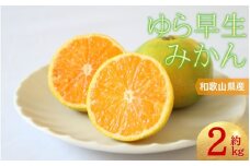 【2025年10月からお届け！】＼光センサー選別／＼農家直送／甘くて濃厚！希少品種 ご家庭用 ゆら早生みかん　約2kg 　サイズ混合【2025年10月上旬頃より順次発送】【nuk143C】