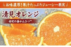  田村産清見オレンジ[約4.5kg] 湯浅町田村産春みかん (果実サイズおまかせ) / 紀伊国屋文左衛門本舗　※2025年3月中旬～2025年4月下旬頃発送予定 / 清見オレンジ オレンジ 蜜柑 みかん 柑橘 フルーツ 果物 【kmtb492A】