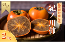 【☆令和7年産☆先行予約】【秀品】紀ノ川柿  約2kg 2L~4Lサイズおまかせ 紀美野町産 【2025年10月中旬～11月上旬に順次発送致します。】/ 和歌山県 紀美野町 種なし カキ 柿 甘い 美味しい 2kg【frt009A】