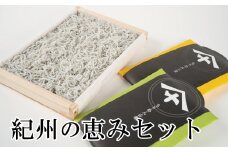  紀州の恵みセット / シラス 釜揚げしらす 魚貝 魚 さかな 【mef004-1】
