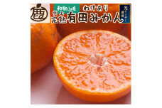 ＜先行予約＞＜11月発送予定＞家庭用 濃厚みかん約2kg+60g（傷み補償分）【わけあり・訳あり】【光センサー選果】※北海道・沖縄・離島配送不可 / 和歌山 ミカン オレンジ 柑橘 フルーツ 果物 くだもの 旬 有田みかん【ikd706A-2】