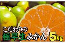 【2025年秋頃発送予約分】【農家直送】こだわりの極早生みかん 約5kg【数量限定】 有機質肥料100% サイズ混合 ※2025年9月下旬より順次発送予定（お届け日指定不可）【nuk152B】