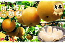 【先行予約】【秋の美味】和歌山の樹上濃厚完熟梨　約4kg ※2024年8月上旬～9月中旬頃順次発送 ※着日指定不可【ard203】