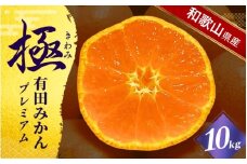 ＼光センサー選別／極 有田みかんプレミアム 10kg【選りすぐりの上位20％をお届け】2S～Lサイズ 有機質肥料100% ※2025年11月下旬頃～2026年1月上旬頃に順次発送予定 ※北海道・沖縄・離島への配送不可/ミカン 蜜柑 柑橘 フルーツ くだもの 果物 温州 有田 甘い 高級 贈答品 贈り物 新鮮 10kg 12月 【nuk156C】
