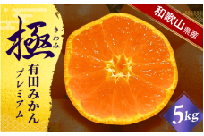 《極》 有田みかん 「プレミアム」 約5kg【選りすぐりの上位20％をお届け！】2S～Lサイズ 有機質肥料100% ※2025年11月下旬～2026年1月上旬頃に順次発送 ※北海道・沖縄・離島への配送不可 / ミカン 蜜柑 柑橘 フルーツ くだもの 果物 温州 有田 甘い 高級 贈答品 贈り物 新鮮 5kg 12月 【nuk155E】