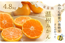 【ご家庭用】数量限定 和歌山県産 みかん蜂蜜養蜂家さんが作ったみかん。S,SSサイズ混合 4.8kg 【2024年11月下旬～12月末までに順次発送】/ みかん ミカン  温州みかん 紀美野町 和歌山 甘い 小さい 小粒 数量限定【twn018】