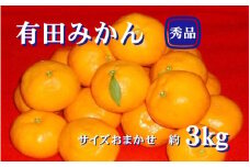 紀州有田みかん 秀品 ３kg（L・M・Sサイズおまかせ）　※2025年11月下旬～2026年1月中旬頃発送予定  / みかん ミカン 果物 くだもの フルーツ 柑橘 和歌山【sml128A】