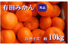 紀州有田みかん　秀品 約10kg　 ２Lサイズ　※2025年11月下旬～2026年1月中旬頃発送予定 / ミカン みかん 和歌山 果物 くだもの フルーツ 柑橘 和歌山【sml129B】