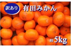 紀州有田みかん 約５kg　訳あり　キズ　御家庭用　サイズ混合　※2025年11月下旬～2026年1月中旬頃発送予定 ※北海道・沖縄・離島配送不可 / みかん ミカン 果物 くだもの フルーツ 柑橘【sml130A】