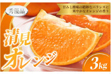 【先行予約】  清見オレンジ  3kg ※秀優混合【S～３Lサイズ混合】【2026年3月中旬から2026年4月中旬頃に順次発送】/みかん 清見 和歌山 フルーツ 有田 果物 オレンジ 甘い ジューシー【agy019】