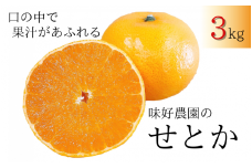 【先行予約・数量限定】地元で大人気の 秀品  せとか  3kg 【M～2Lサイズ混合】【2026年3月中旬から2026年3月下旬頃に順次発送】〈味好農園〉 /ミカン 蜜柑 柑橘 フルーツ くだもの 果物 甘い ジューシー 果汁があふれる【agy024】