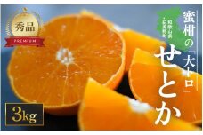 【先行予約・数量限定】地元で大人気の 秀品  せとか  3kg 【M～2Lサイズ混合】【2026年3月中旬から2026年3月下旬頃に順次発送】〈味好農園〉 /ミカン 蜜柑 柑橘 フルーツ くだもの 果物 甘い ジューシー 果汁があふれる【agy024】
