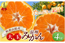 ボリューム満点！大玉  温州みかん 4kg  ※秀優混合【2L～3Lサイズ】【2025年12月から2026年２月下旬頃に順次発送】＜味好農園＞/ 温州 蜜柑 みかん 柑橘 果物 フルーツ ミカン 甘い 美味しい【agy018A】