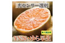 【先行予約】家庭用有田みかんサイズ混合(2S～2L)5kg+250g 10月より発送(極早生)/ みかん ミカン 有田みかん 柑橘 フルーツ 果物 和歌山 オレンジ【ikd002B】

