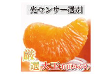 厳選　大きな有田みかん5kg+150g（傷み補償分）【光センサー選果】＜11月上旬より順次発送予定＞【ikd010A】