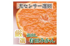 厳選　蔵出しみかん5kg+150g （傷み補償分）【有田の蔵出みかん】【光センサー選別】＜1月中旬より順次発送予定＞【ikd028B】