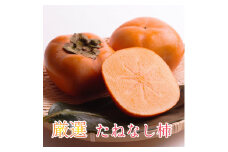 ＜10月より発送＞厳選たねなし柿2.5kg（傷み補償分）【刀根早生・平核無柿（ひらたねなしかき）】【カキ・種無柿・種無し柿・種なし柿・無核柿】【ikd057B】