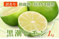 <9月より発送＞わけあり レモン1kg+250g（傷み補償分）【和歌山有田産】【防腐剤・WAX不使用、安心の国産レモン】【わけあり・訳ありレモン】【ikd135B】