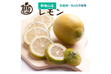 ＜9月より発送＞レモン1kg+250g（傷み補償分）【和歌山有田産】【防腐剤・WAX不使用、安心の国産レモン】【ikd134B】