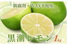 ＜9月より発送＞レモン1kg+250g（傷み補償分）【和歌山有田産】【防腐剤・WAX不使用、安心の国産レモン】【ikd134B】
