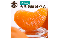 厳選 大きな有田みかん2.5kg+75g（傷み補償分）【光センサー選別】＜11月より発送＞【ikd149A】