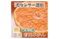 ＜先行予約＞厳選 越冬完熟みかん1.5kg+45g（傷み補償分）ハウスみかん・木熟みかん【光センサー選別】＜1月より発送＞※北海道・沖縄・離島への配送不可【ikd157】